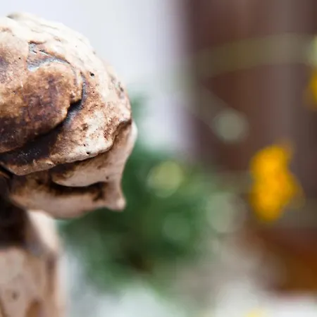 Libano Couette-café