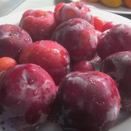 Libano Couette-café 3*